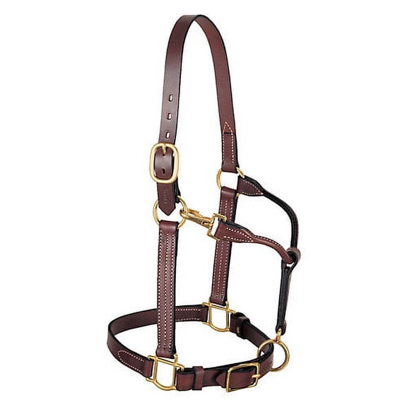Weaver Adj Leather Halter w/ Snap Average