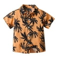 thumbnail image 1 of Odeerbi 6M-13Y Niños Camisa Hawaiana Verano Playa Camisas de Algodón Niños Blusa de Manga Corta Flor Tropical Camisa Estampada Ocio Tops, 1 of 9