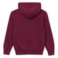 thumbnail image 3 of Toddler Outerstuff  Burgundy Washington Commanders Back to Basics Hoodie, 3 of 3