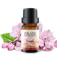 thumbnail image 1 of NEW Essential oils Essential Oil Water-Soluble Dropper Oil for Humidifier and Aromatherapy Machine 10ML(buy 2 get 10% off), 1 of 5