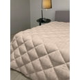thumbnail image 2 of Pink Down Alternative Comforter, Country Life Theme Vintage Old House Romantic with Bold Stripes Art, Microfiber Quilt for All Season, 5 Sizes, Pale Salmon and White, by Ambesonne, 2 of 3