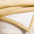 thumbnail image 4 of Heated Blanket Electric Throw 50” x 60” -Heated Throw Blanket with 5 Heating Levels & 3 Hours Auto Off Machine Washable Over-Heat Protect（Racoon）, 4 of 7