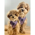 thumbnail image 6 of Dogistry - SoHo Dog Harness - Lilac Gray, 6 of 8