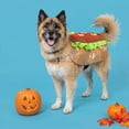 thumbnail image 2 of Vibrant Life Halloween Hot Dog Costume for Dogs, Multicolor, XL, 2 of 8
