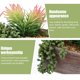 thumbnail image 5 of Simulación de planta suculenta en maceta, decoración de sala de estar, plantas falsas, bonsái artificial de plástico, 5 of 6
