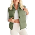 thumbnail image 2 of Gilets d'Automne Femmes 2025 Automne Hiver Gilets Réversibles Sans Manches Col Montant Gilet Femmes Vêtements d'Extérieur A TG, 2 of 7