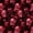 Red, variant on Homewish Spooky Halloween Skull Kitchen Curtains,Baroque Goth Floral Black Out Curtains Pack of 2 (42x63 Each),Golden
