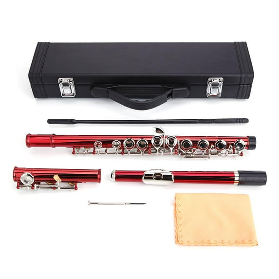 Ktaxon 16 Hole C Flute for Student Beginner School Band with Case 9 Colors