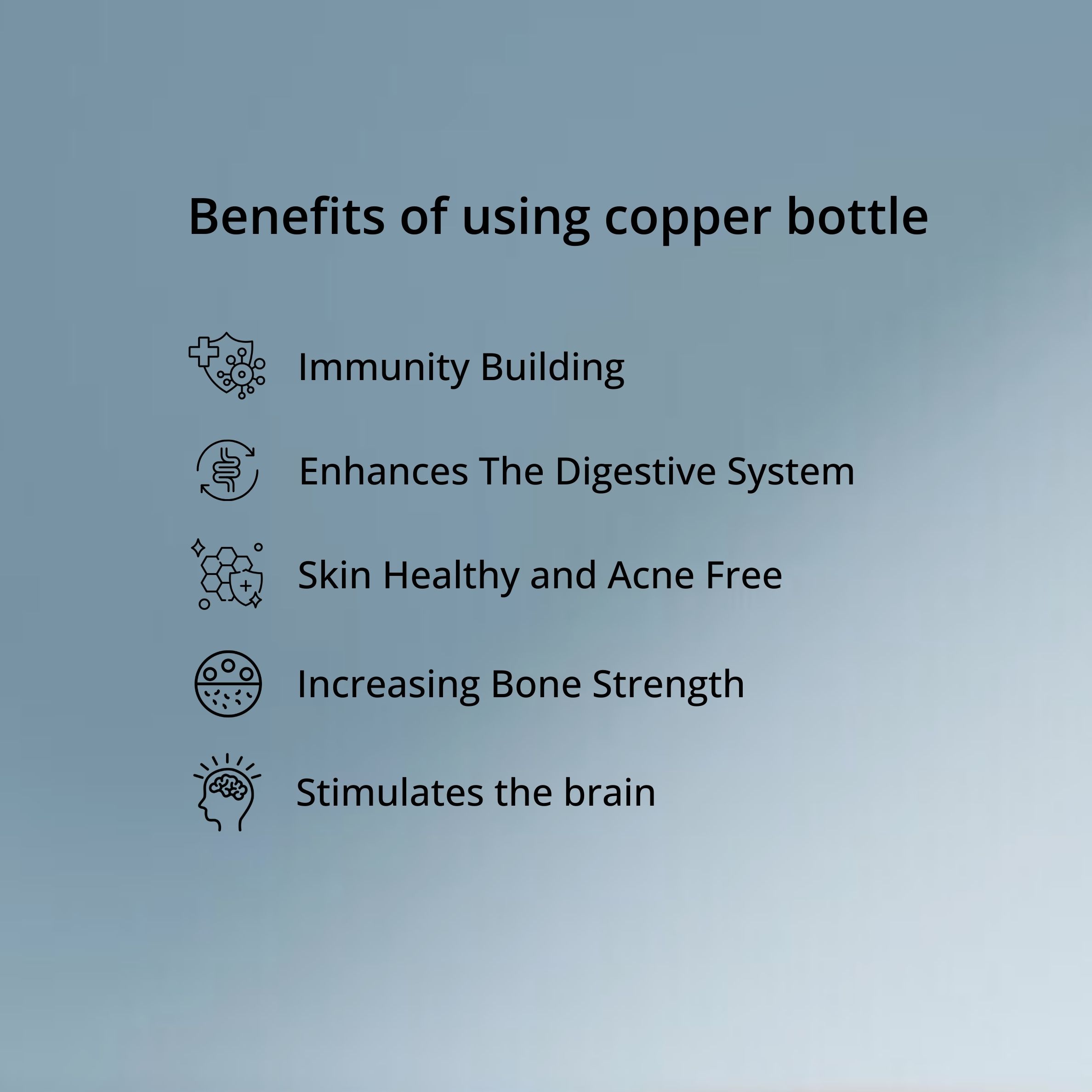 SuperGeneriX 22 oz Copper Water Bottle - Leakproof Travel Bottle (Elephant Print)