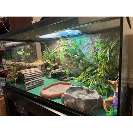 10Pcs Bearded Dragon Tank Accessories, Reptile Hammock Plants Bridge Jungle Clim