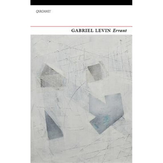 Pre-Owned Errant (Paperback)