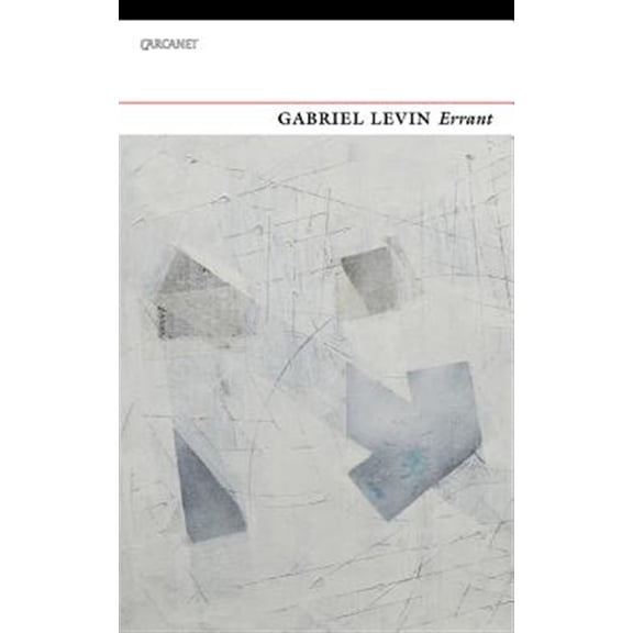 Pre-Owned Errant (Paperback)