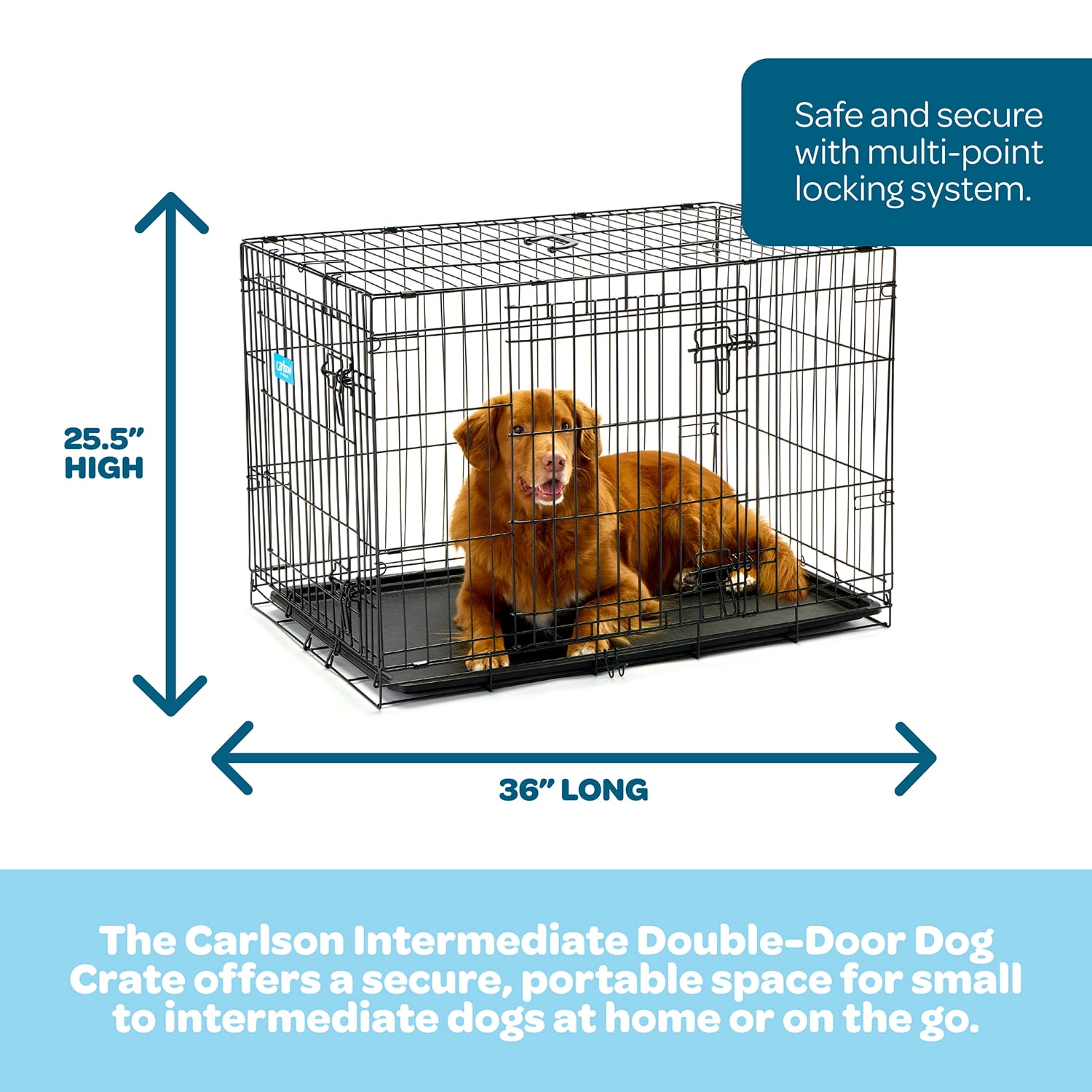 Carlson Pet Products Double Door Wire Crate with Divider, Intermediate, 36" L