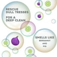 thumbnail image 3 of OGX Purifying + Charcoal Detox Clarifying Daily Conditioner, 13 fl oz, 3 of 7