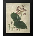 thumbnail image 2 of Vision Studio 12x14 Black Modern Framed Museum Art Print Titled - Aubergine Florals III, 2 of 5