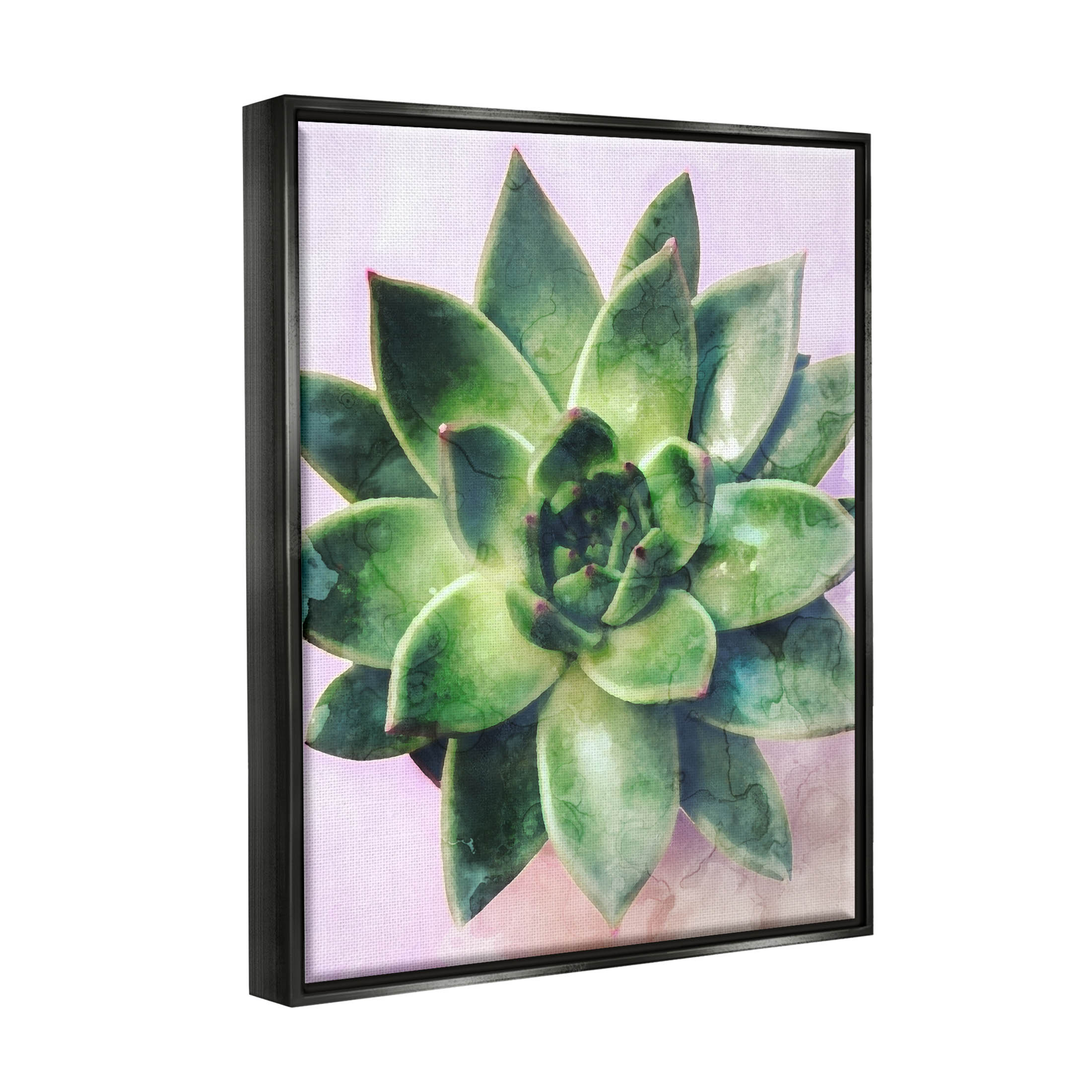 Round Succulent Plant Leaves Botanical & Floral Graphic Art Jet Black Framed Art Print Wall Art