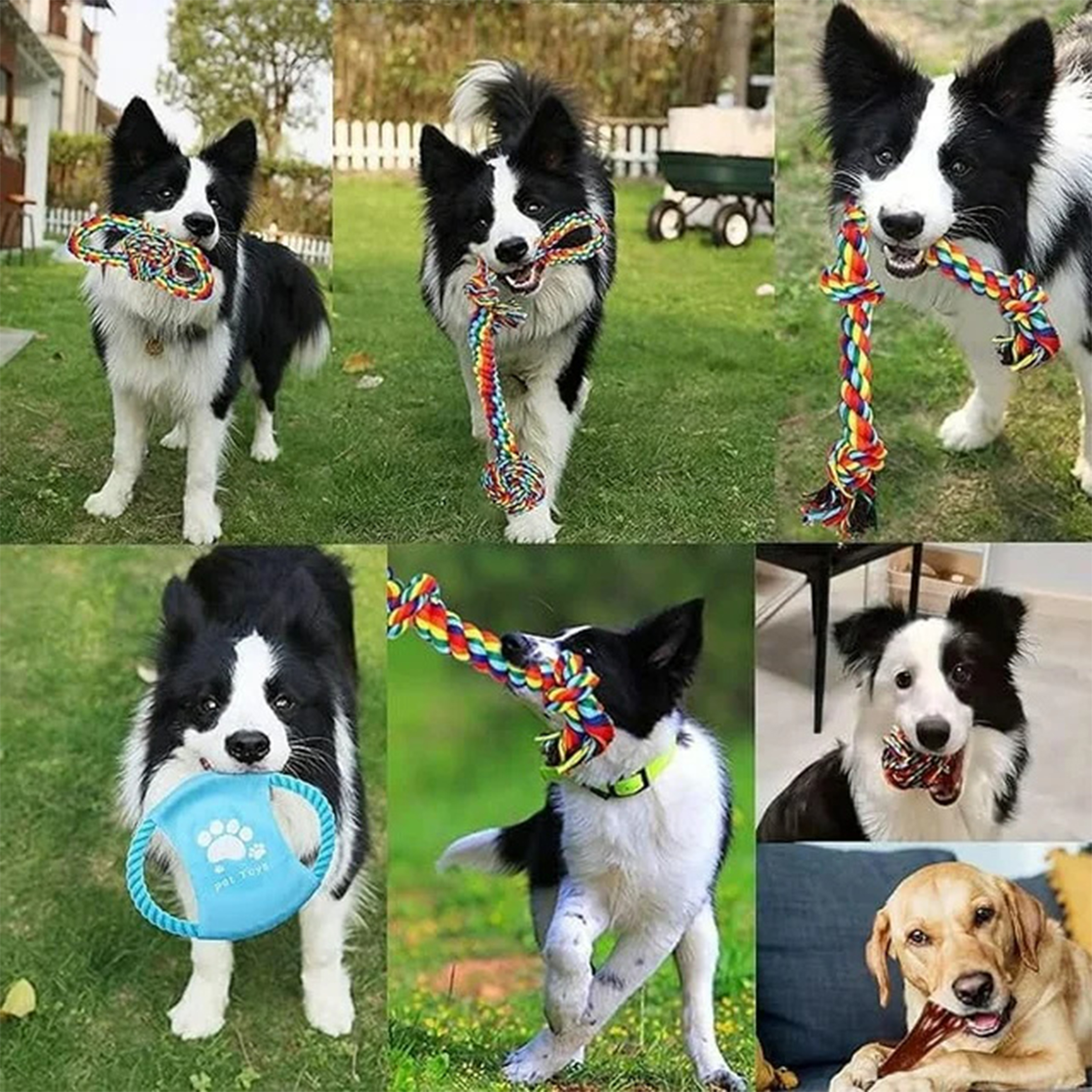 WEPSEN 13-Piece Dog Toy Bundle for Large Dogs photo 3