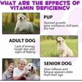 thumbnail image 3 of 15-in-1 Multivitamin for Dogs – 60 ML Dog Vitamins & Supplement, 3 of 10