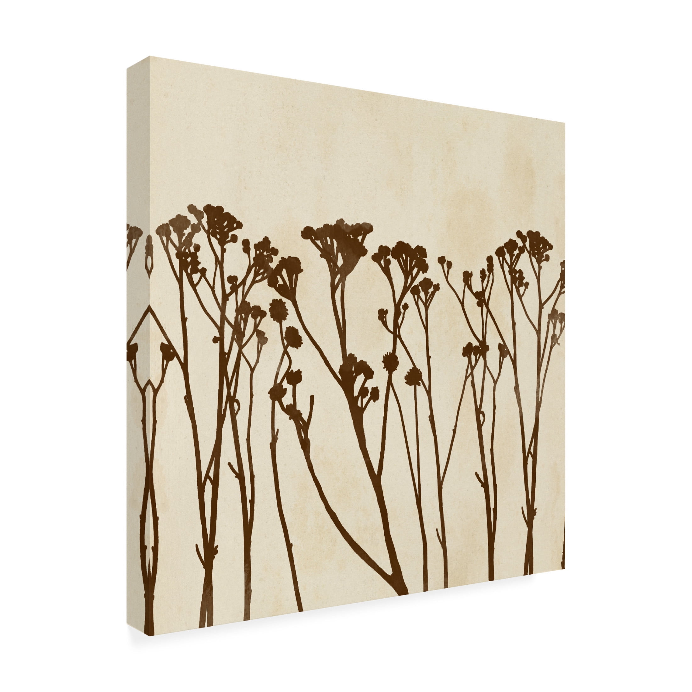 Canvas Wall Art - Vision Studio 'Garden Silhouette LIneup I' Wall Art for Living Room, Bedroom, or Office Décor by Trademark Fine Art - 24 x 24 Inches