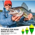 thumbnail image 7 of THKFISH Fishing Bobbers Floats,10 Packs Weighted Bobbers, Foam Oval Slip Bobbers for Fishing, Three Colours Crappie Bobbers, for Fishing Bluegill Crappie Panfish Bass Trout, 1in 1.5in 2in, 7 of 7