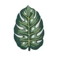 thumbnail image 1 of Novogratz CUCINCNA14GRN3046 3 ft. x 4 ft. 6 in. Cucina14 Hand Hooked Rectangle Rug - Green, 1 of 5