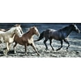 thumbnail image 4 of Milli Villa 14x8 Black Modern Wood Framed Wall Art Titled - Lets Go Horses, 4 of 6