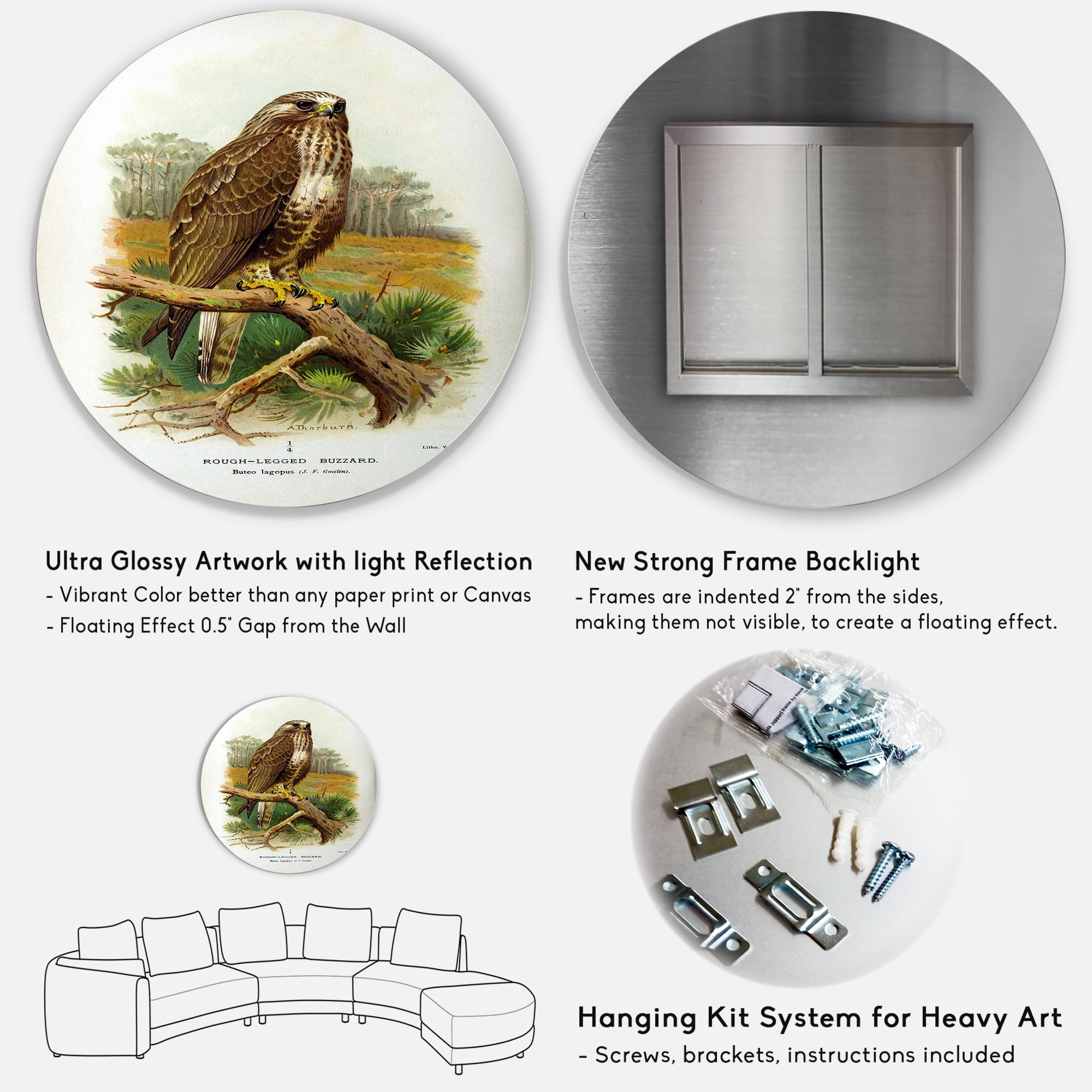 Designart 'Ancient Bird Life IX' Traditional Circle Metal Wall Art 29x29 - Disc of 29