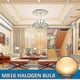 thumbnail image 3 of GU5.3 Halogen Bulb 50W 12V 6-Pack for Dimmable Lighting, 3 of 5