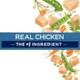 thumbnail image 6 of Purina Beneful Healthy Puppy With Farm Raised Chicken, High Protein Dry Dog Food, 15.5 lb. Bag, 6 of 15