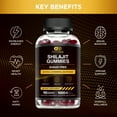 thumbnail image 2 of Effective Nutra Shilajit Gummies 1000mg Sugar Free - Shilajit Supplement for Energy, Brain, Immunity - Shilajit for Men & Women - Natural Berry Flavor (90ct), 2 of 10