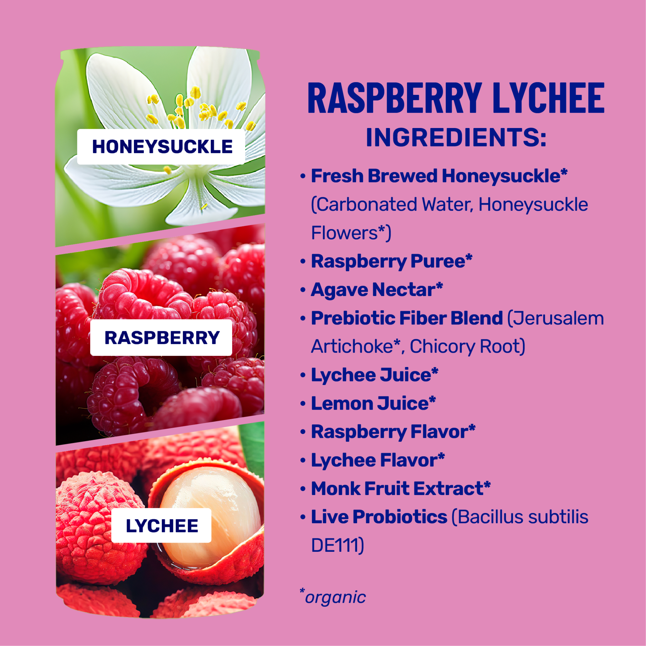 wildwonder® Raspberry Lychee Sparkling Prebiotic + Probiotic Drink, 12 Fluid Ounces