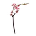 thumbnail image 2 of Seda Artificial Flores de Imitación de Magnolia Adorno Decorativo Decoración Gloria Artesanías de flores artificiales, 2 of 8