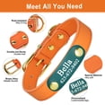 thumbnail image 3 of Didog Personalized Dog Cat Leather Collar Pet Puppy Name Number Print for Small Dogs, 3 of 8