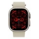 thumbnail image 2 of Reloj Inteligente Smart Watch Hk9 Ultra Fralugio Brujula Nfc  Gris, 2 of 3