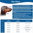 thumbnail image 2 of Soft Dog Head Collar, No Pull Training Tool for Small Medium Large Dogs on Walks, Gentle Training Collar and Control for Heavy Pullers, includes Free Training Guide, 2 of 7