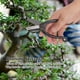 thumbnail image 3 of Tijera Para Bonsái, Tijeras Para Arreglos Florales, Herramientas, Tijeras De Podar, Herramienta De Acero, Herramienta De Esquila Para Jardín Al Aire Libre, Utensilios Para, 3 of 7