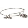 thumbnail image 3 of Alex and Ani Fortune's Favor Rafaelian Silver Bangle Bracelet, 3 of 9