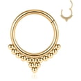 thumbnail image 1 of FFIY Septum Jewelry 16G Septum Ring Septum Piercing Unique Design Daith Piercing Jewelry 316L Surgical Steel Clicker HOPP Segment Hinged Nose Rings Hoop Cartlidge Helix Rook Earrings, 1 of 5
