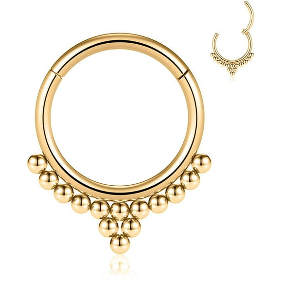 FFIY Septum Jewelry 16G Septum Ring Septum Piercing Unique Design Daith Piercing Jewelry 316L Surgical Steel Clicker HOPP Segment Hinged Nose Rings Hoop Cartlidge Helix Rook Earrings
