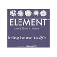 thumbnail image 4 of Element Live Plant Kalanchoe Blossfeldiana Succulent Color Succulent in 4in Pot, 4 of 7
