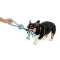 thumbnail image 3 of Mammoth Flossy Chews 18" Extra Double-Tug Cotton-blend Chew Dog Toy with Loop Handle, Asst Colors, 3 of 10
