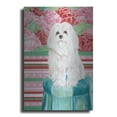 thumbnail image 1 of Luxe Metal Art 'Della Rose Maltese' by Carolee Vitaletti, Metal Wall Art, 12"x16", 1 of 7