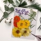 thumbnail image 2 of Advancent Artesanía de flores secas naturales Flores prensadas Ramos en relieve Decoración para tarjetas de boda Pintura de álbum de recortes Flores artificiales  Digitare 5 Advancent HA010760-05, 2 of 6