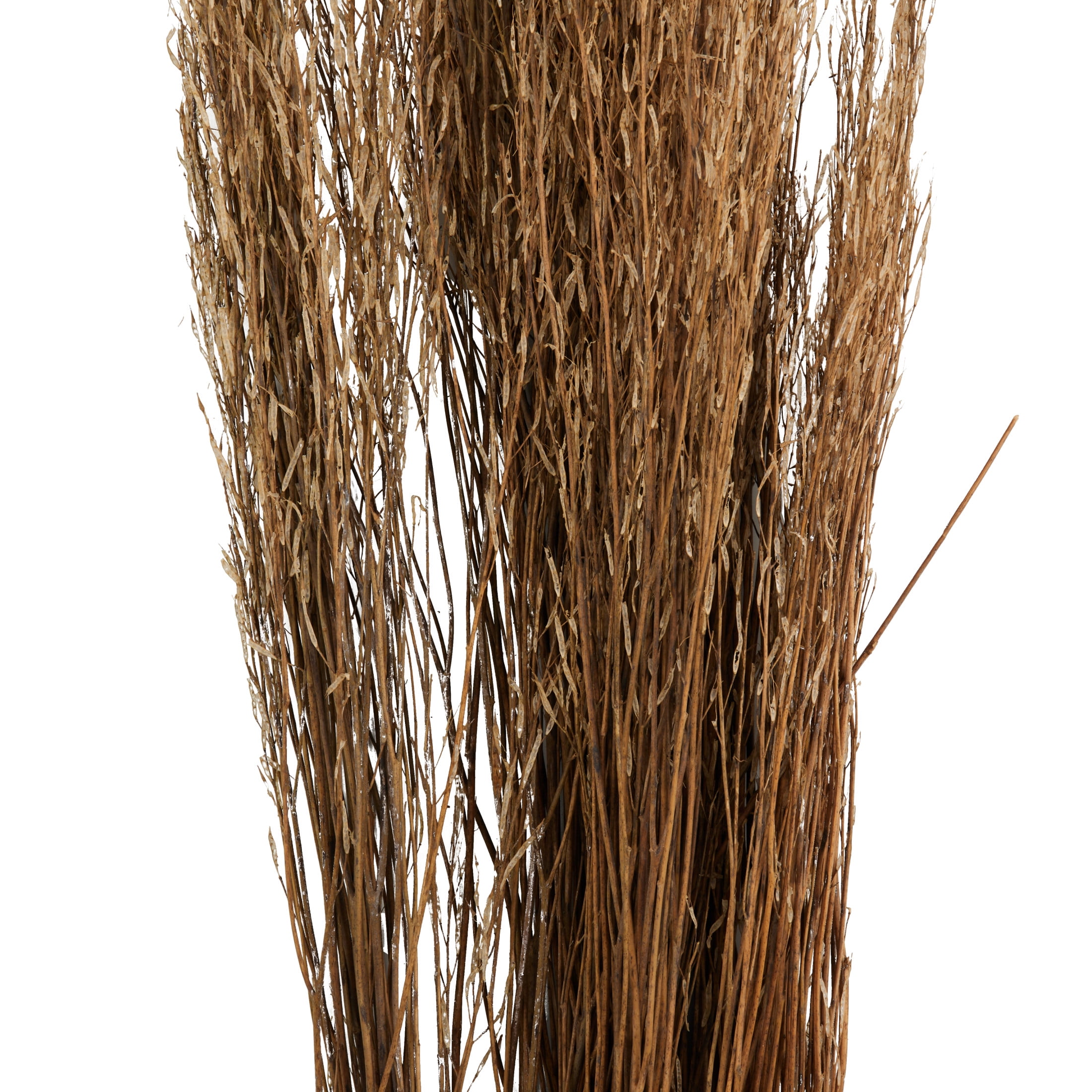 42" Tall Sticks Dried Plant Natural Foliage Bouquet with Grass, by DecMode