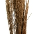thumbnail image 5 of 42" Tall Sticks Dried Plant Natural Foliage Bouquet with Grass, by DecMode, 5 of 9