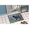 thumbnail image 4 of Carolines Treasures SS8665MAT Paillasson Intérieur Extérieur 18 x 27 Po. Cairn Terrier, 4 of 4