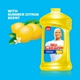 Mr. Clean Antibacterial MultiSurface Cleaner, Summer Citrus, 40 fl oz