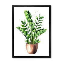 Designart 'Zamioculcas Tropical Plant With Green Leaves On White' Traditional Framed Art Print
