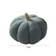 thumbnail image 3 of Fiudx Cojines Decorativos de Calabaza Otoñal, de Algodón y Polipropileno Suave, Ideal para Decorar El Hogar, Ideal para Acción de Gracias Otoñal, para La Oficina, 20 X 12 Cm., 3 of 5
