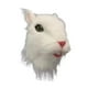 thumbnail image 1 of Máscara de cabeza de ratón, cubierta de cabeza completa, casco para hombres y mujeres, máscara de látex para animales, 1 of 8